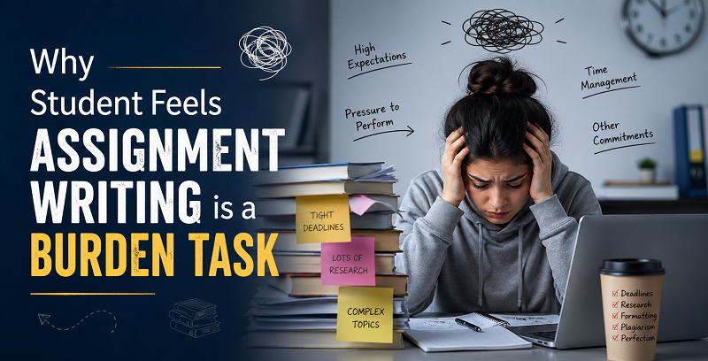 why students struggle with assignments